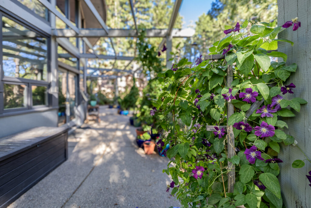 BirdsNest(Christine)-10