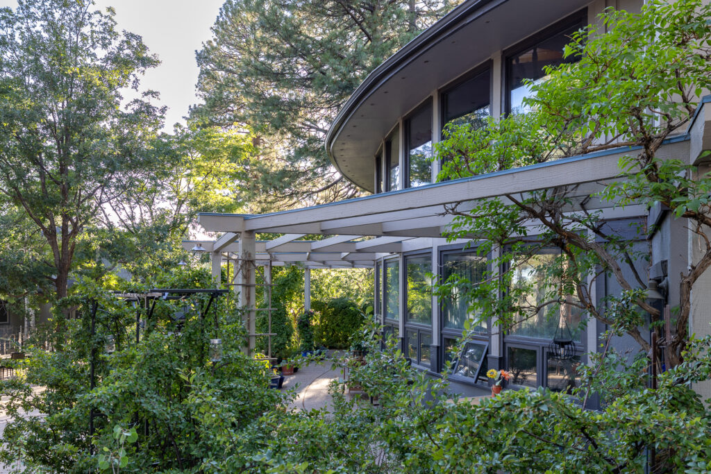 BirdsNest(Christine)-11