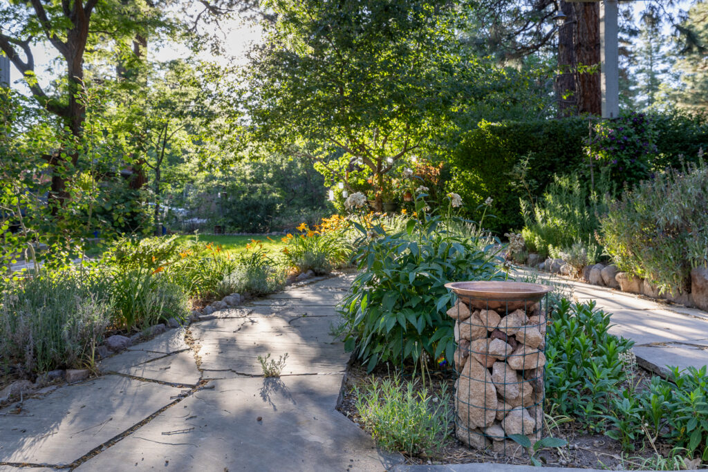 BirdsNest(Christine)-15