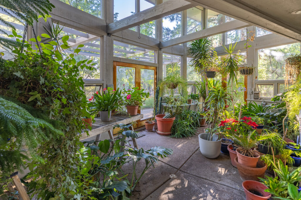 BirdsNest(Christine)-2