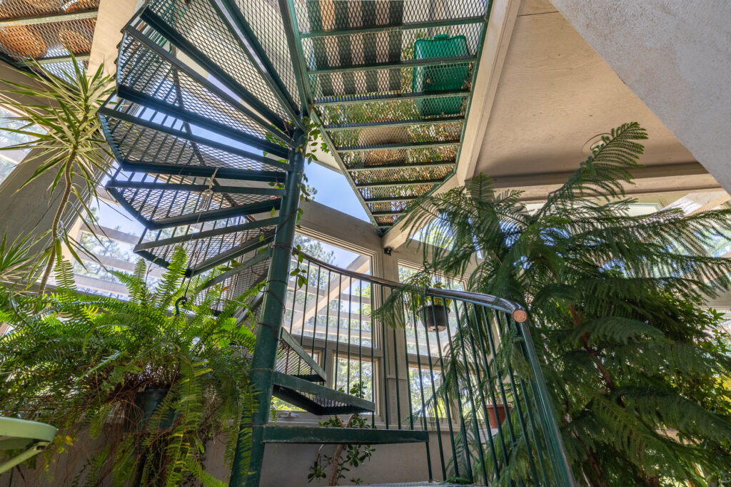 BirdsNest(Christine)-57