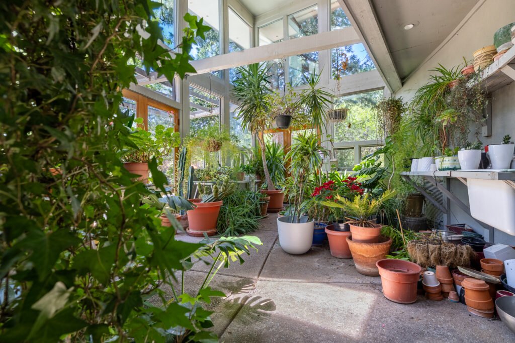 BirdsNest(Christine)-59