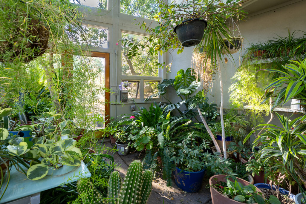 BirdsNest(Christine)-61