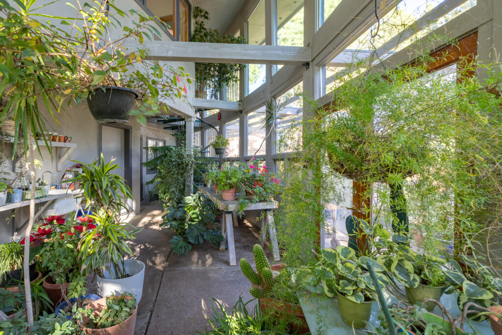 BirdsNest(Christine)-62