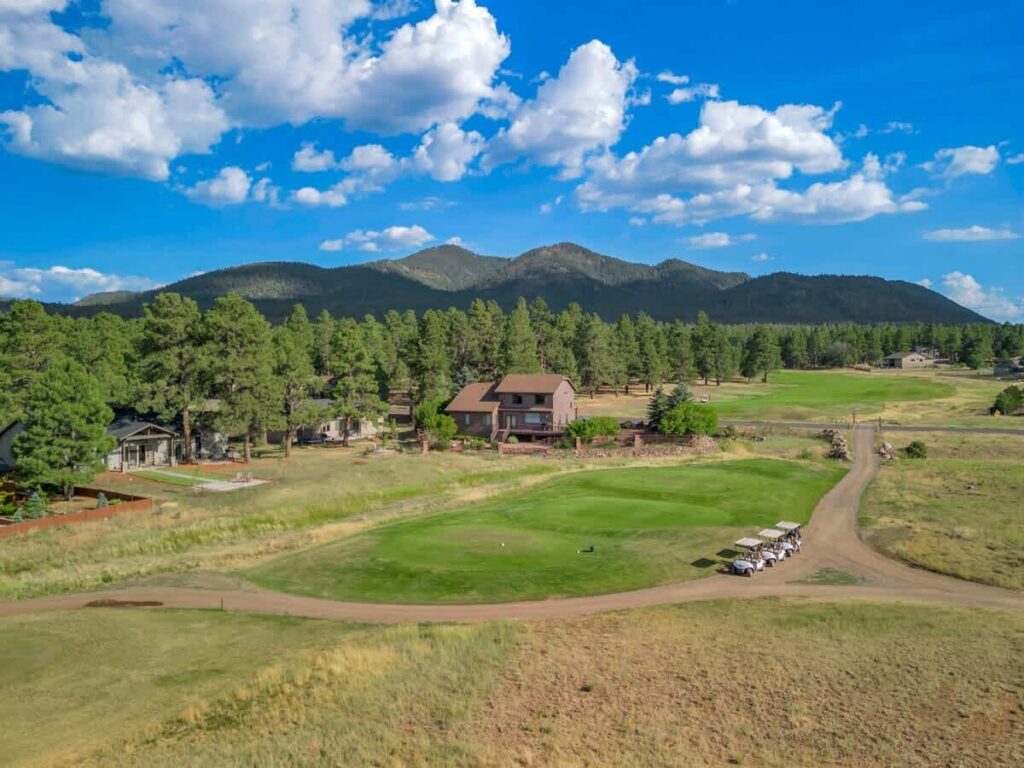 674f5a78b52ec300e7cb0fbb-947833119876420419_1741806794