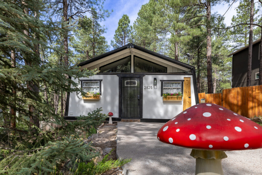 Mushroom(Christine)-1