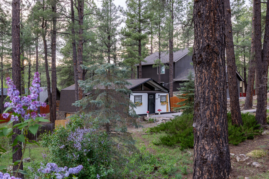 Mushroom(Christine)-6