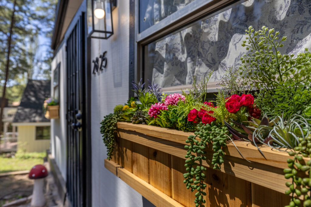 Mushroom(Christine)-7