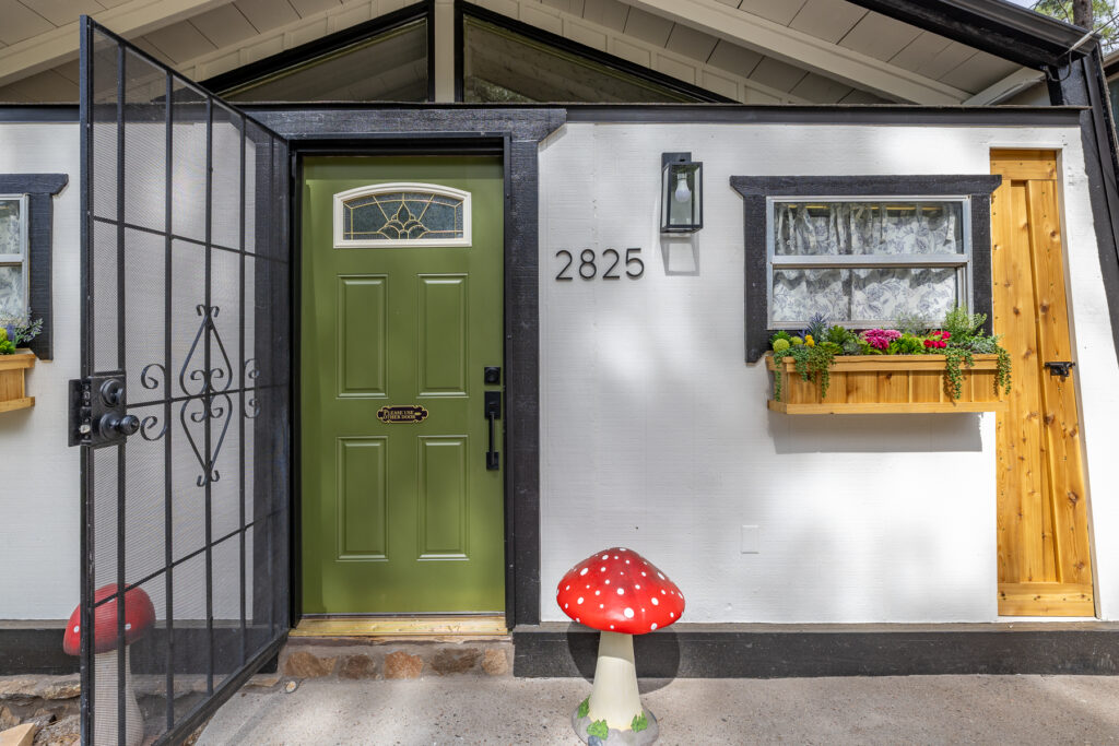 Mushroom(Christine)-8